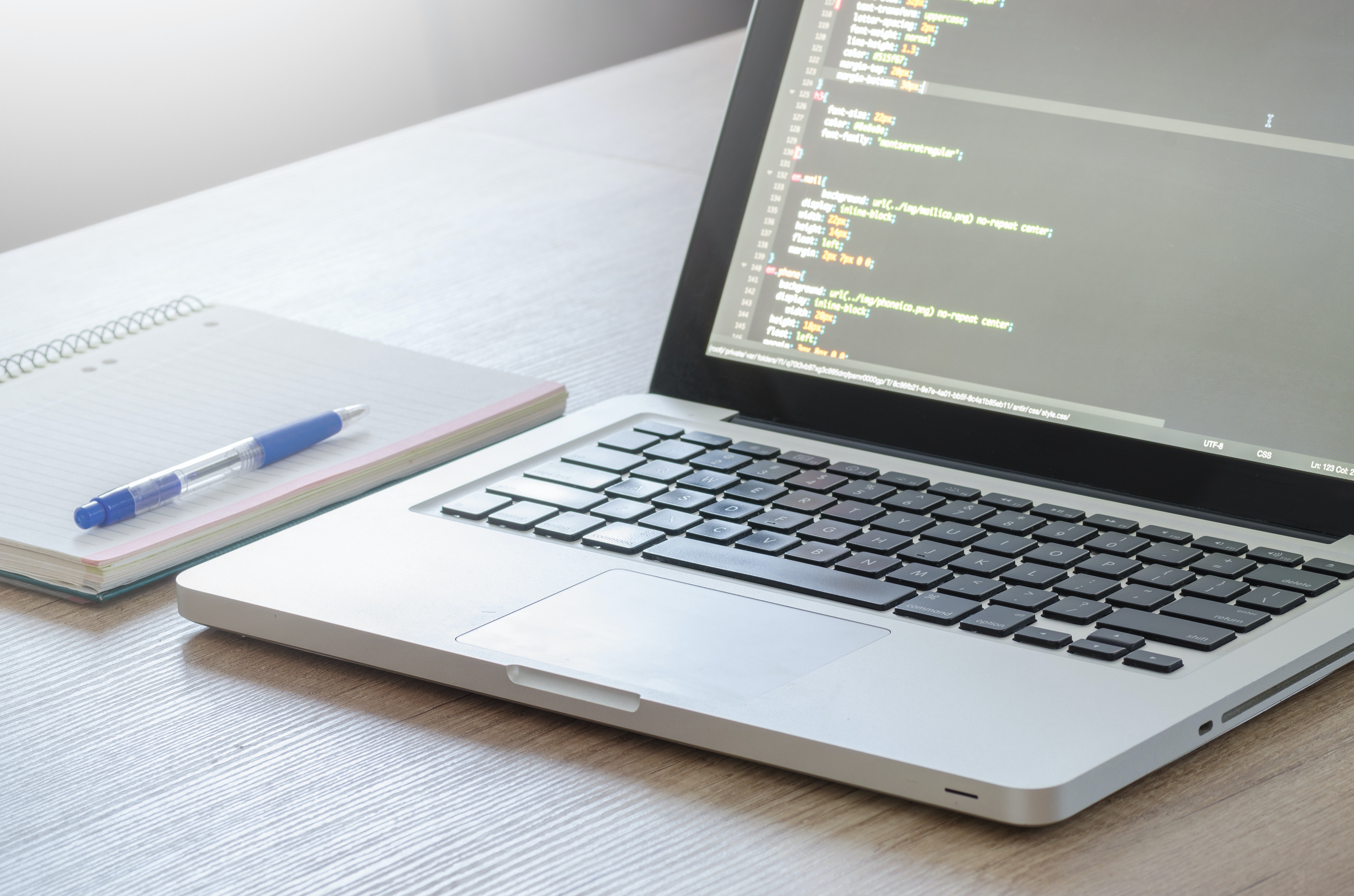 Software development